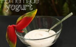 Learning to Make Yogurt in Costa Rica