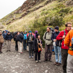Torres del Paine Line of People