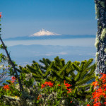 Volcano View at Parque Nahuelbuta