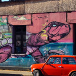 Turtle Mural in Santiago Chile