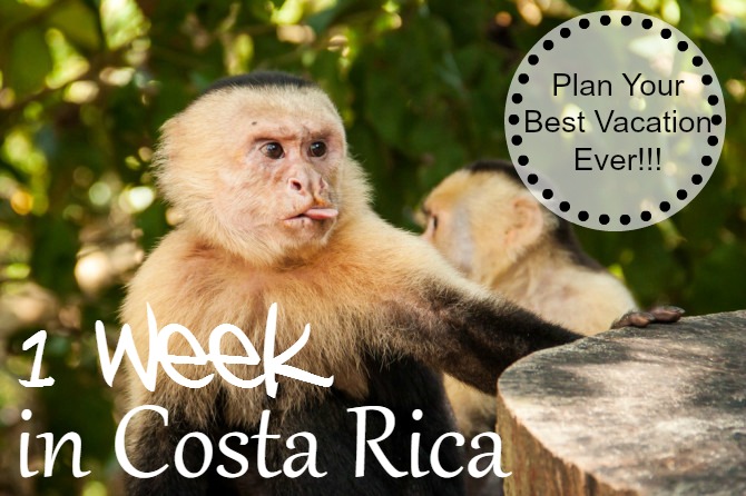 Costa Rica Vacation UnevenSidewalks