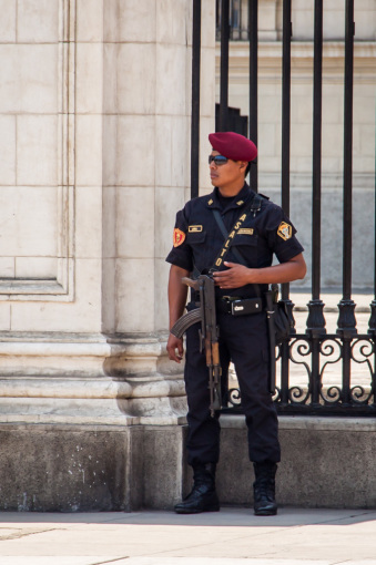 Police Guard in Lima