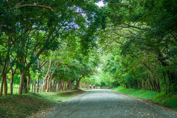 Country Roads in Costa Rica