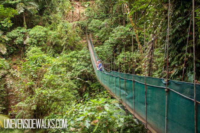 Hanging Bridge in Costa Rican Jungle
