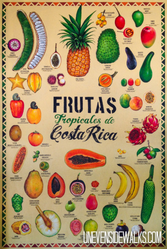 Tropical Fruits of Costa Rica