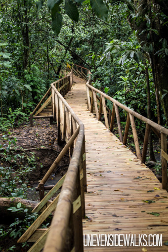 New Trail through Jungle at Manuela Antonio National Park