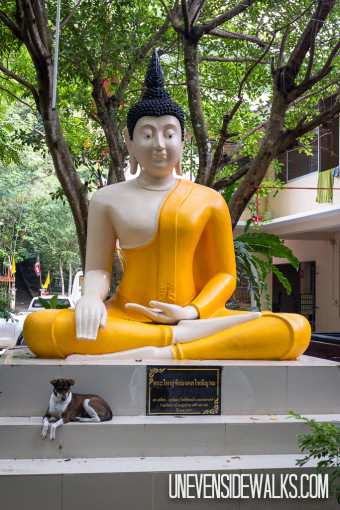 Buddha Statue with Dog Chilling out