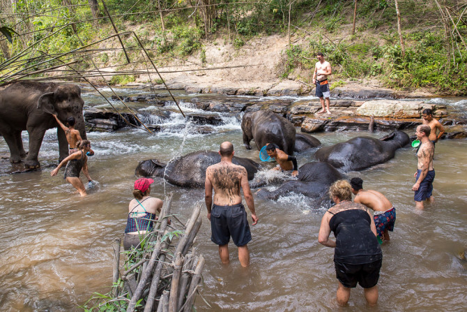 Bathing in the River with Elephant Sanctuary in Thailand