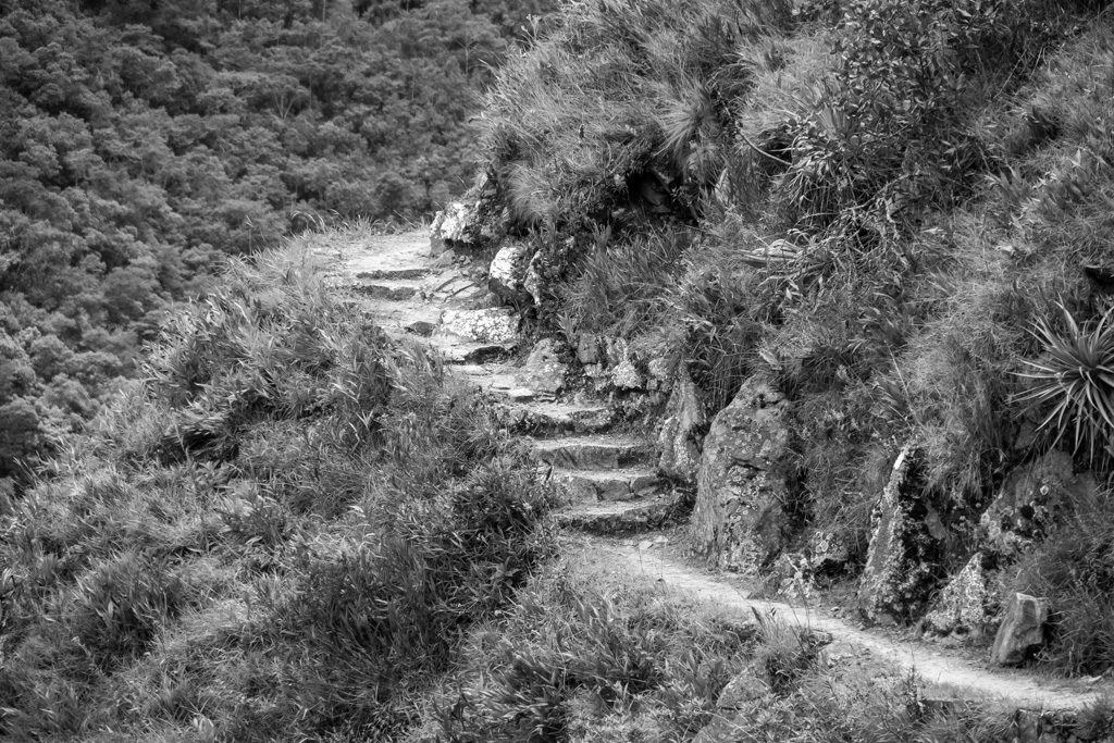 Inca Trail BW