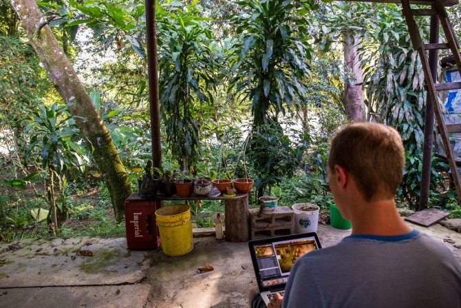Working in the Costa Rica Jungle